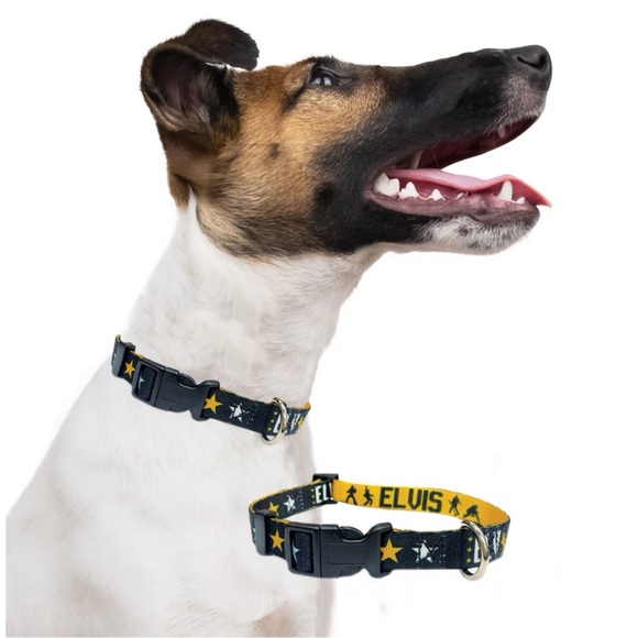 Elvis Dog Collar Black and Gold Size Medium Pet - Picture 1 of 6